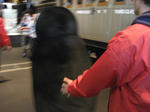 IMG_1775.JPG