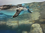 DSC00165.JPG