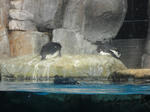 DSC00145.JPG