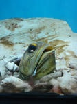 DSC00694.JPG