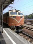 RIMG1719.JPG