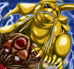 pika.jpg