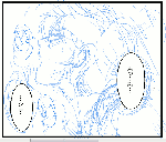 syuria_sample1.gif