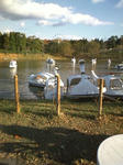 CA3E0050.jpg