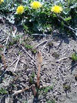 PA0_0015.JPG