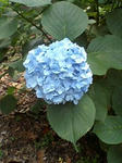 PA0_0021.JPG