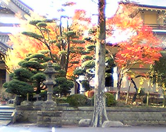 071207紅葉