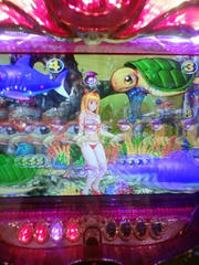 110718_110737.JPG