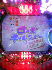 110807_115341.JPG
