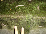DSC04563.JPG