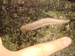 DSC04577.JPG