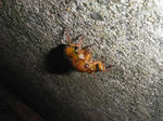 IMGP0772.JPG
