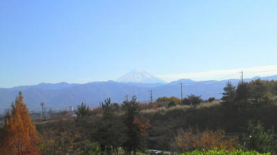 双葉から富士山