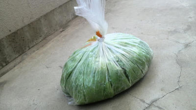KG-009-8