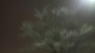 雪華