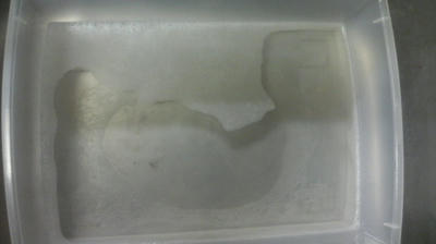 フィルタージャブジャブ液