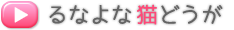 YouTube「るなよな猫動画」