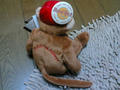 monkey_back