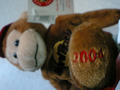 monkey2004