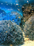 サンシャイン水族館