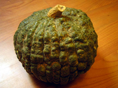 10-14112007Calabaza0003.jpg