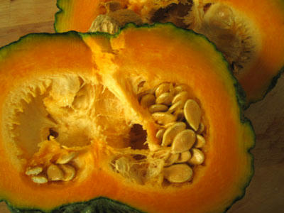 10-14112007Calabaza0009.jpg