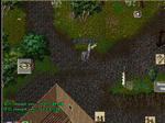 1f13e1ba.jpg