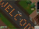 381200af.JPG