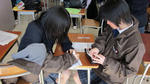 IMG_0043_1.jpg