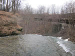 IMG_1121.jpg