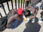 IMG_1270.jpg