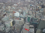 IMG_1336.jpg