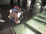 IMG_1351.jpg