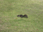 IMG_1397.jpg