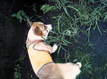 Image072.jpg