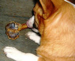 DSCF1482.JPG