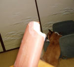 DSCF1484.JPG