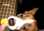 DSCF1488.JPG