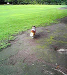 Image074.jpg
