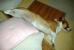 DSCF1491.JPG