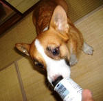 DSCF14966.JPG