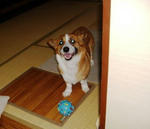 DSCF1499.JPG
