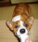 DSCF14944.JPG