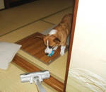 DSCF1498.JPG