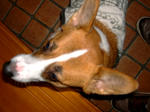 DSCF1613.JPG