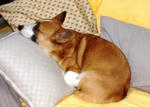 DSCF1667.JPG
