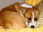 DSCF1657.JPG