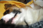 DSCF1675.JPG
