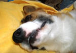DSCF1676.JPG