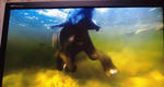 DSCF1682.JPG